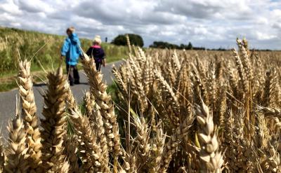 Ҫ���B������x���y�ČW���dȤ�����L��Ҫ...