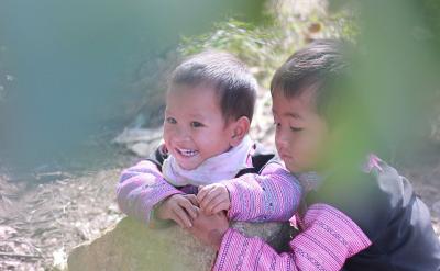 二、高中生物教學反思的分類