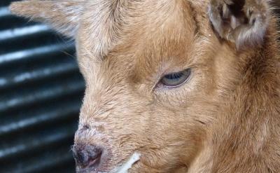 在培訓過程當中,我所遇到的每一個老師都流...