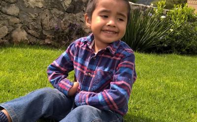 3. 執行計劃:使用數學語言和符號表述解題...