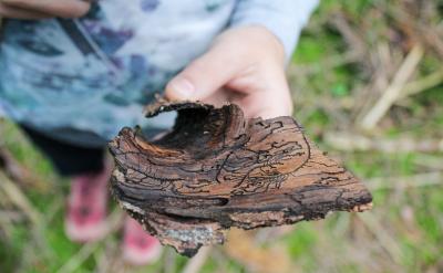 2.從心態的角度: