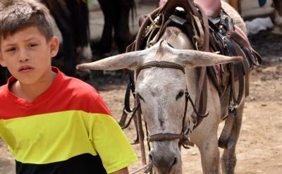 ��ͥ����Ӌ���cͬ�W�������Ɍ��r�g�_ͻ�r��...