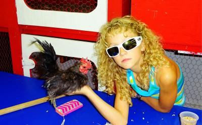 4. ���B(y��ng)���õĜ�ͨ����