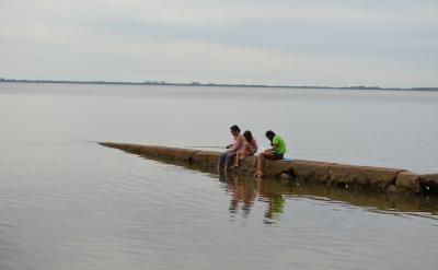 2.ע�،W�����������T���{��